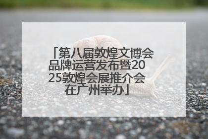 第八届敦煌文博会品牌运营发布暨2025敦煌会展推介会在广州举办