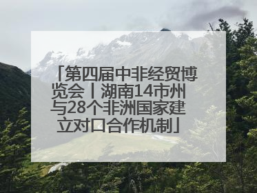 第四届中非经贸博览会丨湖南14市州与28个非洲国家建立对口合作机制
