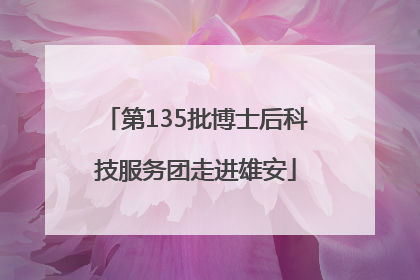 第135批博士后科技服务团走进雄安