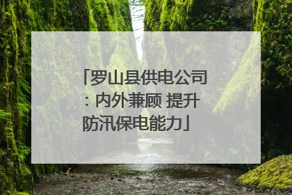 罗山县供电公司：内外兼顾 提升防汛保电能力