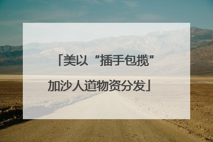 美以“插手包揽”加沙人道物资分发