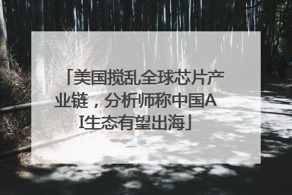 美国搅乱全球芯片产业链,分析师称中国AI生态有望出海