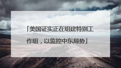 美国证实正在组建特别工作组，以监控中东局势