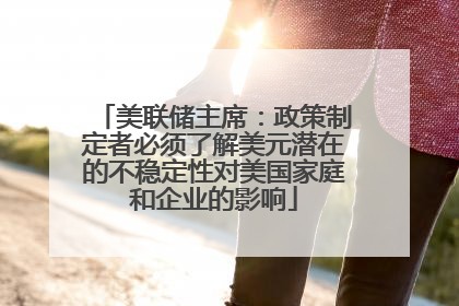 美联储主席：政策制定者必须了解美元潜在的不稳定性对美国家庭和企业的影响
