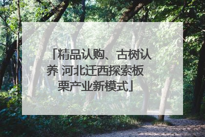 精品认购、古树认养 河北迁西探索板栗产业新模式