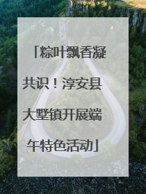粽叶飘香凝共识！淳安县大墅镇开展端午特色活动