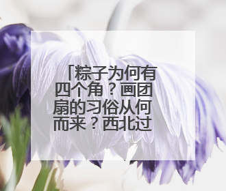 粽子为何有四个角？画团扇的习俗从何而来？西北过端午原来有这么多讲究