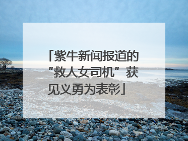 紫牛新闻报道的“救人女司机”获见义勇为表彰