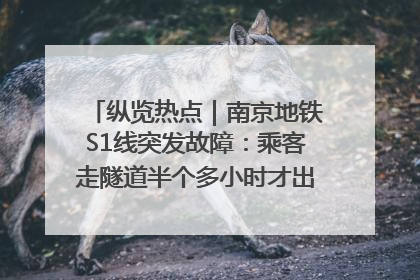 纵览热点｜南京地铁S1线突发故障：乘客走隧道半个多小时才出站，地铁方称造成误机会解决处理
