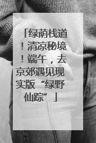 绿荫栈道！清凉秘境！端午，去京郊遇见现实版“绿野仙踪”