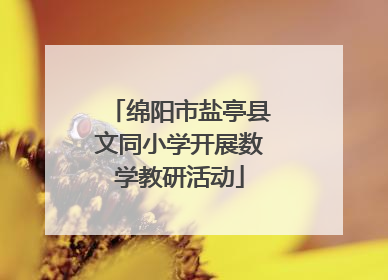 绵阳市盐亭县文同小学开展数学教研活动