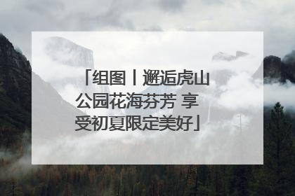 组图丨邂逅虎山公园花海芬芳 享受初夏限定美好