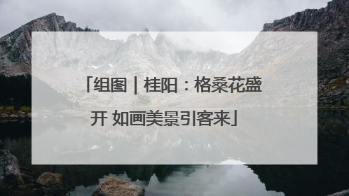 组图｜桂阳：格桑花盛开 如画美景引客来