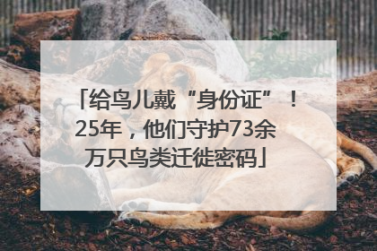 给鸟儿戴“身份证”！25年，他们守护73余万只鸟类迁徙密码