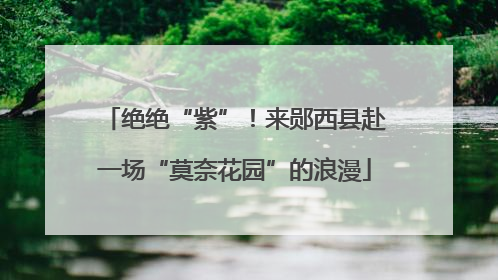 绝绝“紫”！来郧西县赴一场“莫奈花园”的浪漫
