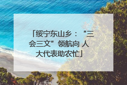 绥宁东山乡：“三会三文”领航向 人大代表助农忙