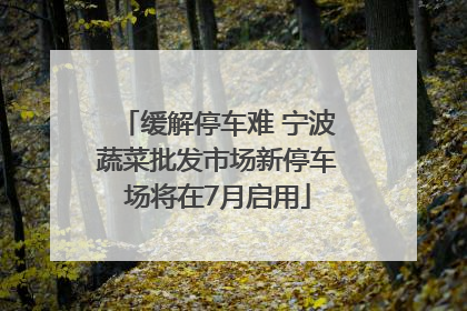 缓解停车难 宁波蔬菜批发市场新停车场将在7月启用