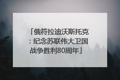 俄符拉迪沃斯托克：纪念苏联伟大卫国战争胜利80周年