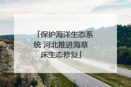 保护海洋生态系统 河北推进海草床生态修复