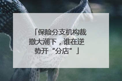 保险分支机构裁撤大潮下，谁在逆势开“分店”