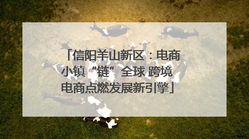 信阳羊山新区：电商小镇“链”全球 跨境电商点燃发展新引擎