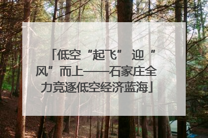 低空“起飞” 迎“风”而上——石家庄全力竞逐低空经济蓝海