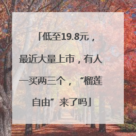 低至19.8元，最近大量上市，有人一买两三个，“榴莲自由”来了吗