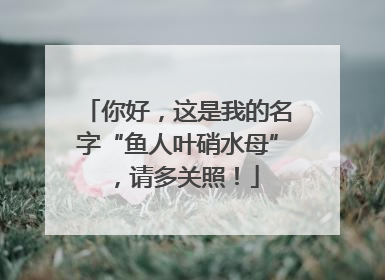 你好，这是我的名字“鱼人叶硝水母”，请多关照！