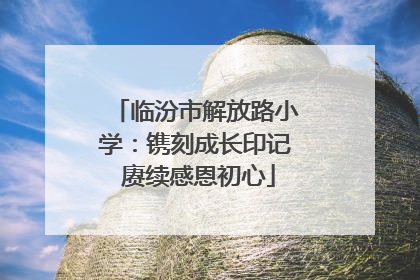 临汾市解放路小学：镌刻成长印记 赓续感恩初心