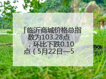 临沂商城价格总指数为103.28点，环比下跌0.10点（5月22日—5月28日）