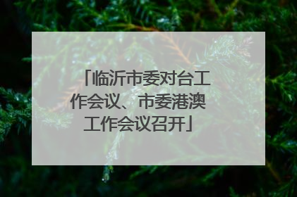临沂市委对台工作会议、市委港澳工作会议召开