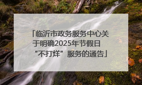 临沂市政务服务中心关于明确2025年节假日“不打烊”服务的通告