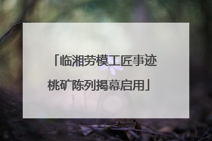 临湘劳模工匠事迹桃矿陈列揭幕启用