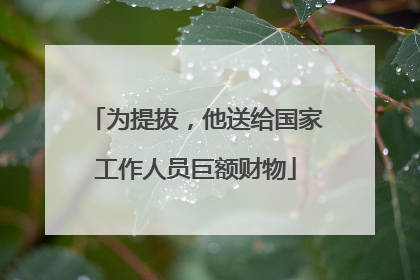 为提拔，他送给国家工作人员巨额财物