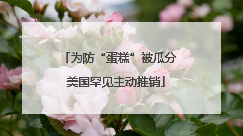 为防“蛋糕”被瓜分 美国罕见主动推销