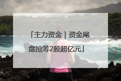 主力资金｜资金尾盘抢筹2股超亿元