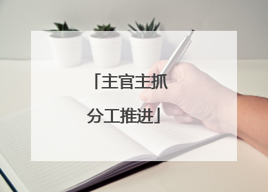 主官主抓 分工推进