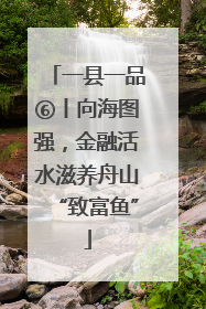 一县一品⑥丨向海图强，金融活水滋养舟山“致富鱼”