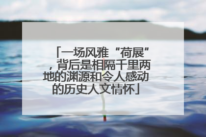 一场风雅“荷展”，背后是相隔千里两地的渊源和令人感动的历史人文情怀