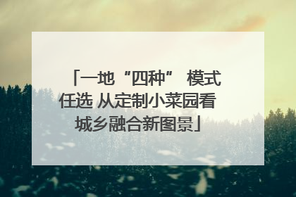 一地“四种” 模式任选 从定制小菜园看城乡融合新图景