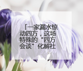 一家漏水惊动四方，这场特殊的“四方会谈”化解社区难题