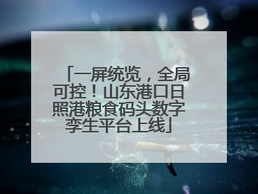 一屏统览，全局可控！山东港口日照港粮食码头数字孪生平台上线