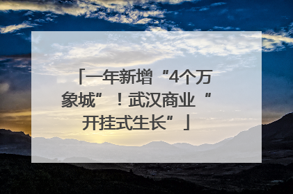 一年新增“4个万象城”！武汉商业“开挂式生长”