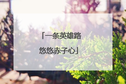 一条英雄路 悠悠赤子心