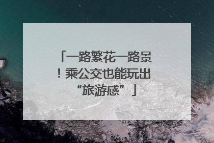 一路繁花一路景！乘公交也能玩出“旅游感”