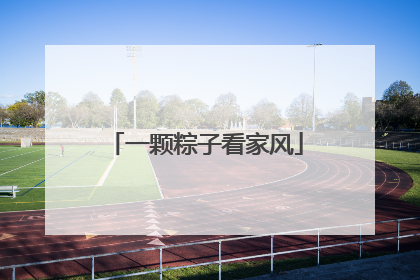 一颗粽子看家风