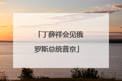 丁薛祥会见俄罗斯总统普京