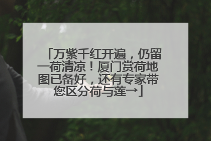 万紫千红开遍，仍留一荷清凉！厦门赏荷地图已备好，还有专家带您区分荷与莲→