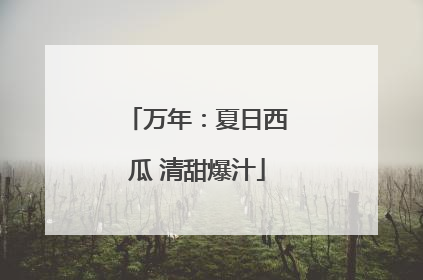 万年：夏日西瓜 清甜爆汁
