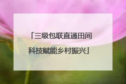 三级包联直通田间 科技赋能乡村振兴